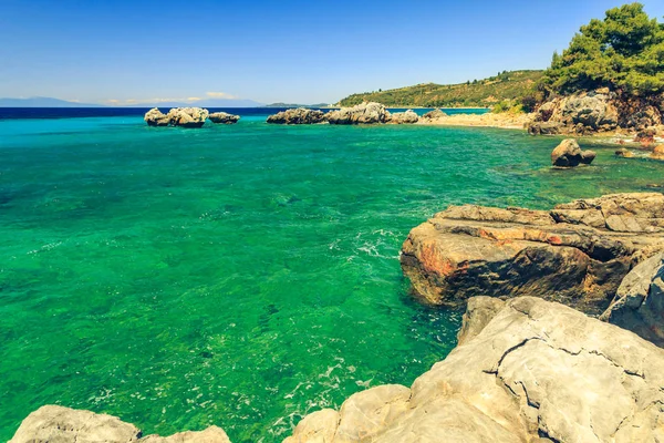 The rocky coast with pine tree overlooking the turquoise blue se — Stock Photo, Image