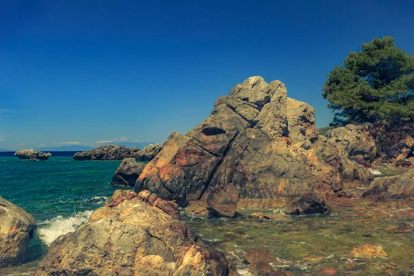 Turkuaz mavi se bakan çam ağacı ile kayalık sahil