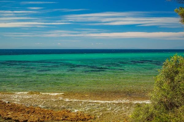 De rotsachtige kust met pijnboom met uitzicht over de turquoise blauwe se — Stockfoto