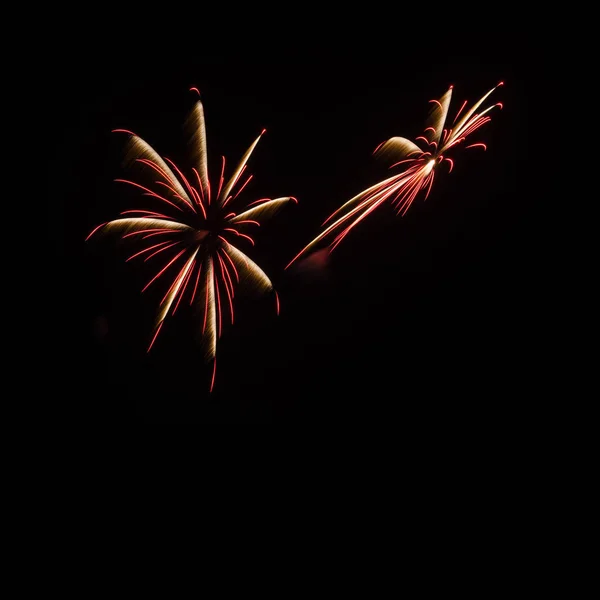 Coloridos fuegos artificiales iluminan el cielo — Foto de Stock