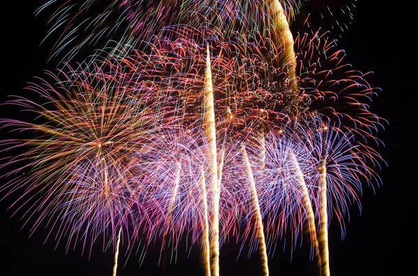 Coloridos fuegos artificiales iluminan el cielo — Foto de Stock