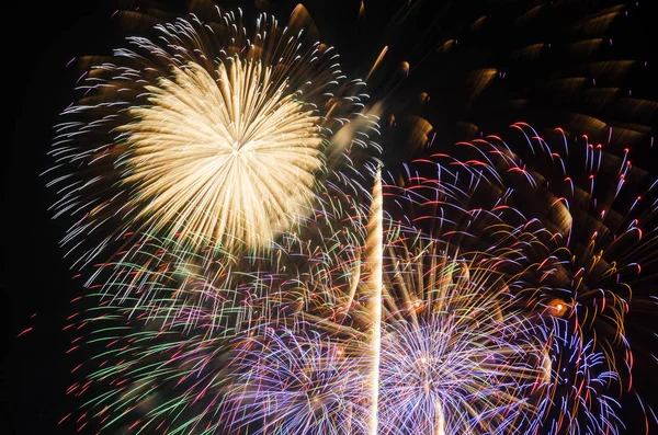 Fogos de artifício coloridos iluminam o céu — Fotografia de Stock