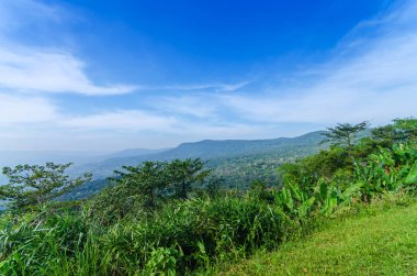 Güzel dağlar doğal peyzaj