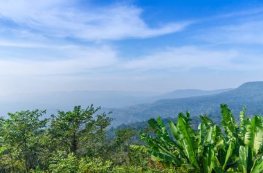 Güzel dağlar doğal peyzaj