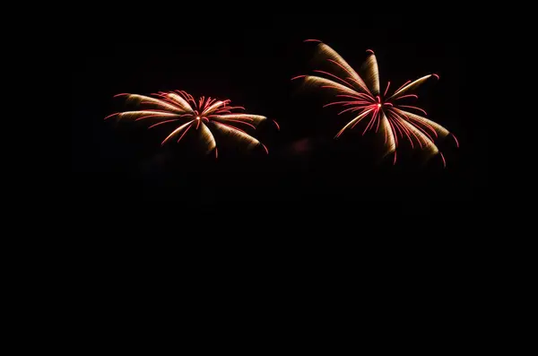 Fogos de artifício coloridos iluminam o céu — Fotografia de Stock
