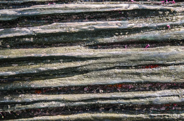 ahşap doku arkaplanı