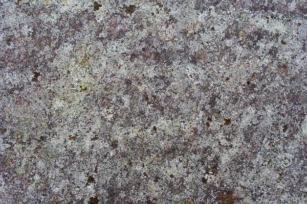 Stone Lichens Texture Stone Lichen Background Photo Space Text Swedish — Stock Photo, Image