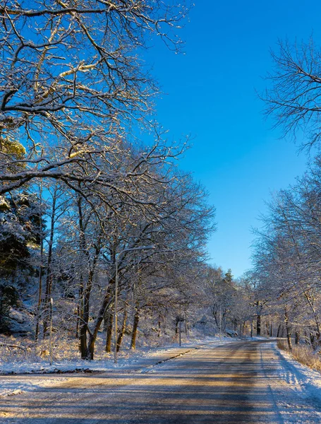 Caminho Inverno Floresta Sueca Dia Nevado Floresta Escandinava Dia Inverno — Fotografia de Stock