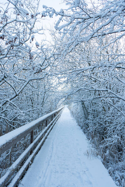 Winter wooden path (bridge) in swedish woods. Snowy day in scandinavian forest. Bright winter day. Nature wallpaper. Photo with trees and road.