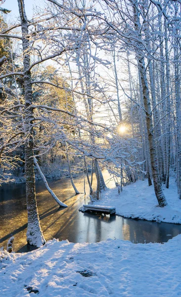 Fluxo Congelado Canal Árvores Com Neve Inverno Escandinávia Papel Parede — Fotografia de Stock