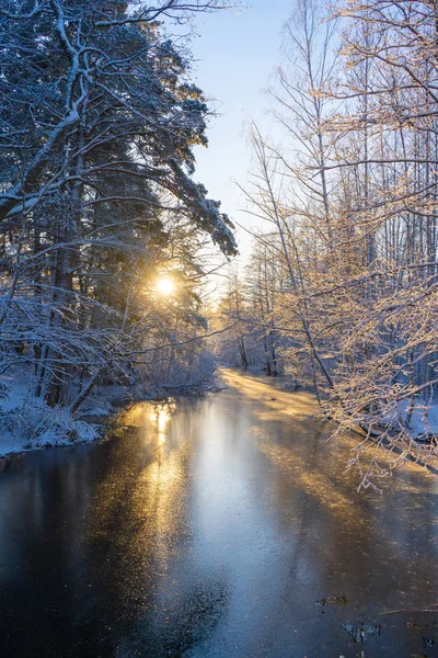 Donmuş Dere Kanal Karlı Ağaçlar Skandinavya Kış Sveç Peyzaj Duvar — Stok fotoğraf