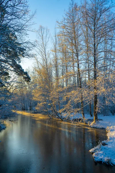 冰冻的溪流 和白雪覆盖的树木 在丑闻的冬天 瑞典风景墙纸 自然照片 — 图库照片