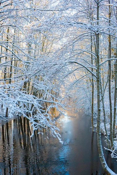 冰冻的溪流 和白雪覆盖的树木 在丑闻的冬天 瑞典风景墙纸 自然照片 — 图库照片
