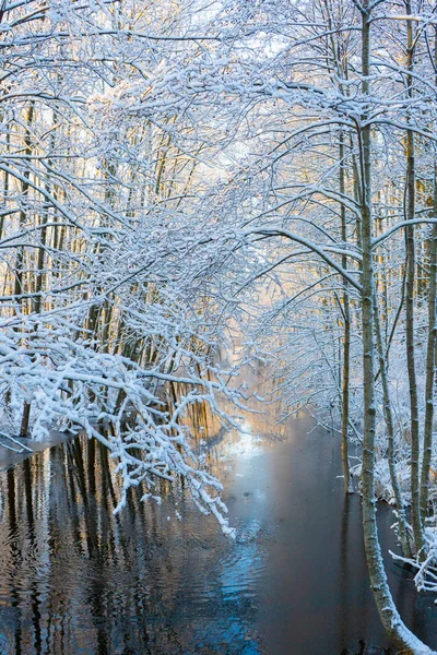 Donmuş Dere Kanal Karlı Ağaçlar Skandinavya Kış Sveç Peyzaj Duvar — Stok fotoğraf