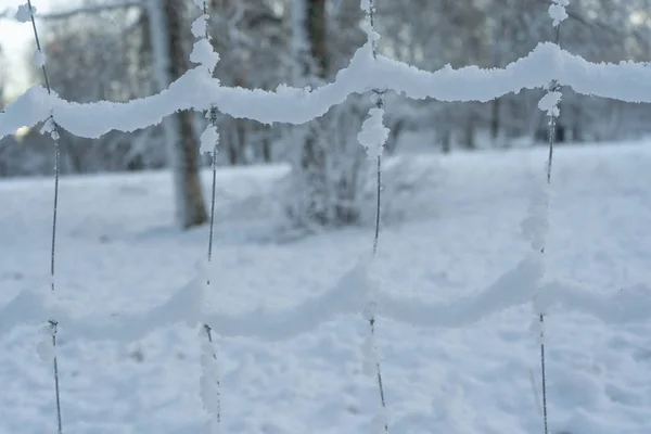 Cerca Nevada Fondo Pantalla Invierno Escandinavo Paisaje Foto Naturaleza Países — Foto de Stock