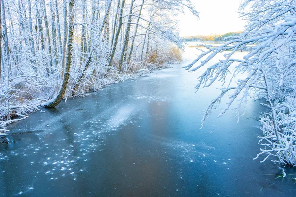 Donmuş dere (kanal) ve karlı ağaçlar. İskandinavya 'da kış. İsveç peyzaj duvar kağıdı. Doğa fotoğrafı..