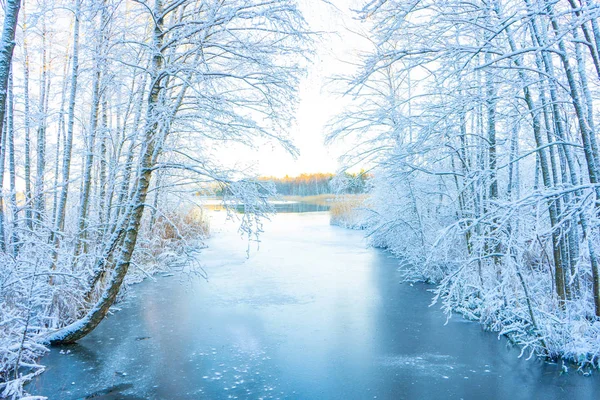 Donmuş dere (kanal) ve karlı ağaçlar. İskandinavya 'da kış. İsveç peyzaj duvar kağıdı. Doğa fotoğrafı..