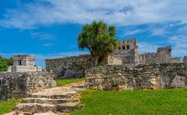 Ruins of ancient Tulum. Architecture of ancient maya. View with temple and other old buildings, houses. Blue sky and lush greenery of nature. travel photo. Wallpaper or background. Yucatan. Mexico.