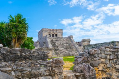 Ruins of ancient Tulum. Architecture of ancient maya. View with temple and other old buildings, houses. Blue sky and lush greenery of nature. travel photo. Wallpaper or background. Yucatan. Mexico.