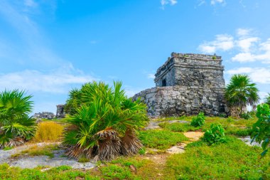Ruins of ancient Tulum. Architecture of ancient maya. View with temple and other old buildings, houses. Blue sky and lush greenery of nature. travel photo. Wallpaper or background. Yucatan. Mexico.
