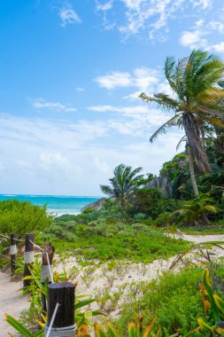 Tulum yakınlarındaki Karayipler kıyısında. Turkuaz deniz ve mavi gökyüzü. Doğada kayalar ve bitkiler. Seyahat fotoğrafı, arka plan. Yucatan. Quintana Roo. Meksika.