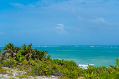 Tulum yakınlarındaki Karayipler kıyısında. Turkuaz deniz ve mavi gökyüzü. Doğada kayalar ve bitkiler. Seyahat fotoğrafı, arka plan. Yucatan. Quintana Roo. Meksika.