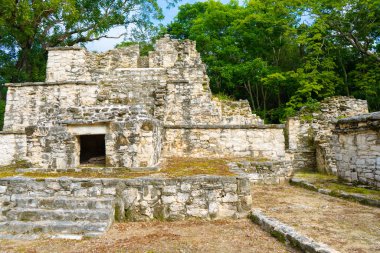 Eski Muyil kalıntıları. Antik Maya 'nın mimarisi. Tapınak ve diğer eski binalar, evler. Mavi gökyüzü ve yemyeşil doğa. seyahat fotoğrafı. Duvar kağıdı ya da arka plan. Yucatan. Meksika.