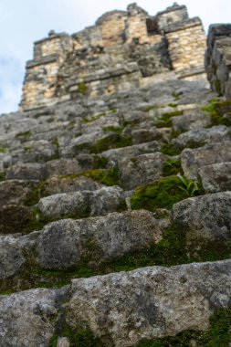 Eski Maya piramidine doğru adımlar. Muyil 'in antik arkeolojik alanı. Seyahat fotoğrafı. Yucatan. Quintana Roo. Meksika