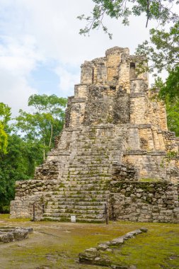 Eski Muyil kalıntıları. Antik Maya 'nın mimarisi. Tapınak ve diğer eski binalar, evler. Mavi gökyüzü ve yemyeşil doğa. seyahat fotoğrafı. Duvar kağıdı ya da arka plan. Yucatan. Meksika.