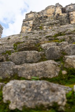 Eski Maya piramidine doğru adımlar. Muyil 'in antik arkeolojik alanı. Seyahat fotoğrafı. Yucatan. Quintana Roo. Meksika