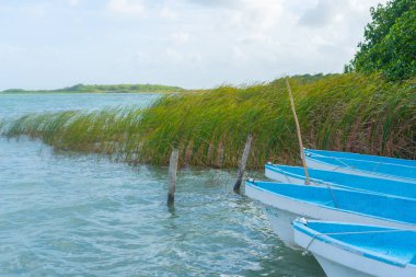 Laguna, Muyil yakınlarında. Teknelerle manzarayı izle. Seyahat fotoğrafı, arka plan. Yucatan. Quintana Roo. Meksika.