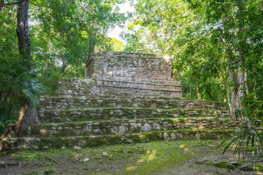 Eski Muyil kalıntıları. Antik Maya 'nın mimarisi. Tapınak ve diğer eski binalar, evler. Mavi gökyüzü ve yemyeşil doğa. seyahat fotoğrafı. Duvar kağıdı ya da arka plan. Yucatan. Meksika.