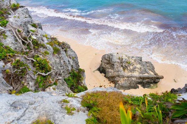 Caribbean Coast Tulum Turquoise Sea Blue Sky Nature Rocks Plants — 스톡 사진