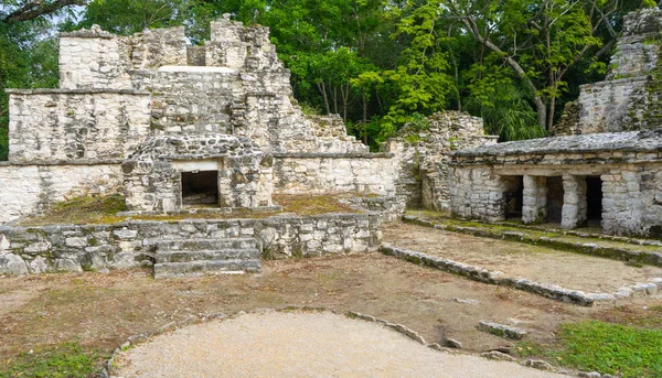Eski Muyil Kalıntıları Antik Maya Nın Mimarisi Tapınak Diğer Eski — Stok fotoğraf