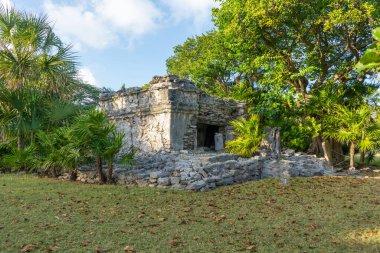 Antik Maya 'nın eski Xaman Ha Mimarisi' nin kalıntıları. Doğanın bereketli yeşilliği. Seyahat fotoğrafı. Duvar kağıdı ya da arka plan. Yucatan. Meksika.