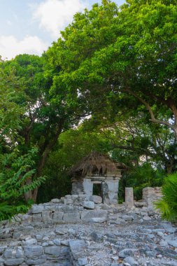 Antik Maya 'nın eski Xaman Ha Mimarisi' nin kalıntıları. Doğanın bereketli yeşilliği. Seyahat fotoğrafı. Duvar kağıdı ya da arka plan. Yucatan. Meksika.