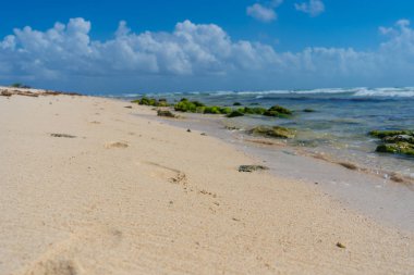 Karayipler deniz kıyısı. Ayak izleriyle bak. Mavi gökyüzü bulutlarla ve turkuaz suyla. Seyahat fotoğrafı, arka plan, duvar kağıdı. Uzayı kopyala Mesaj için yer. Yucatan. Quintana Roo. Meksika.