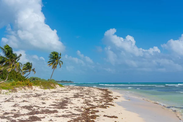 Costa Del Mar Caribe Cielo Azul Con Nubes Agua Turquesa — Foto de Stock