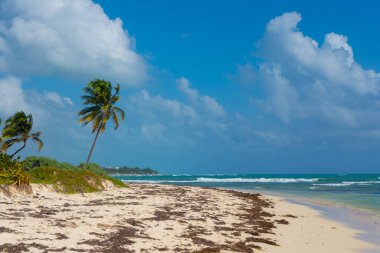 Karayipler deniz kıyısı. Bulutlu mavi gökyüzü ve turkuaz su. Seyahat fotoğrafı, arka plan, duvar kağıdı. Uzayı kopyala Mesaj için yer. Yucatan. Quintana Roo. Meksika.