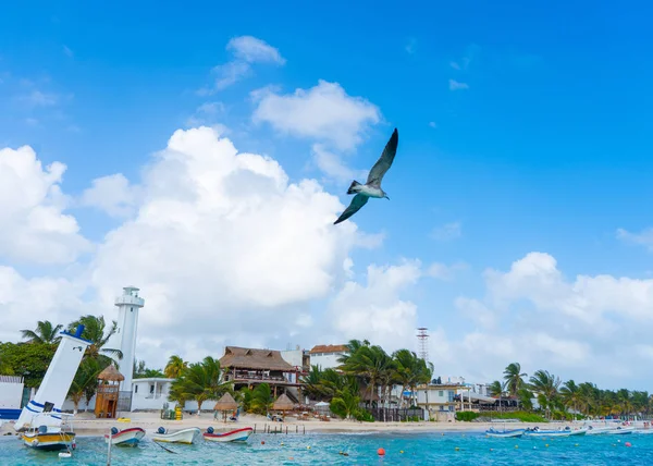 Puerto Morelos deniz manzaralı deniz feneri, kuş ve tekneler. Bulutlu Karayip gökyüzü. Beyaz kum kıyısı. Arkaplan ya da duvar kağıdı. Yucatan. Quintana Roo. Meksika mı? Riviera maya.