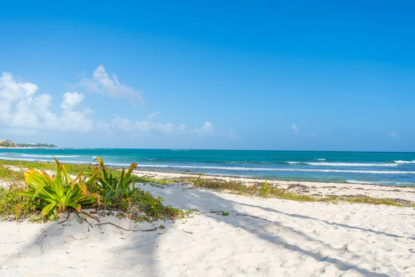 Karayipler deniz kıyısı. Bulutlu mavi gökyüzü ve turkuaz su. Seyahat fotoğrafı, arka plan, duvar kağıdı. Uzayı kopyala Mesaj için yer. Yucatan. Quintana Roo. Meksika.
