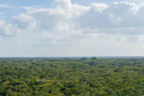 Nohoch Mul piramidinden görüntü. Bulutları ve gökyüzü olan tropik (yağmur ormanı). Seyahat, doğa fotoğrafı. Meksika mı? Quintana Roo. Yucatan 