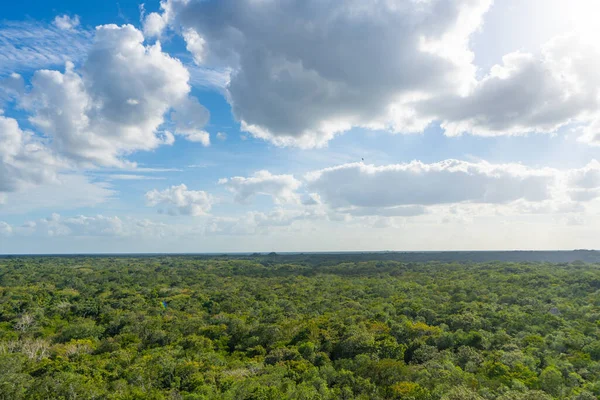 Nohoch Mul piramidinden görüntü. Bulutları ve gökyüzü olan tropik (yağmur ormanı). Seyahat, doğa fotoğrafı. Meksika mı? Quintana Roo. Yucatan 
