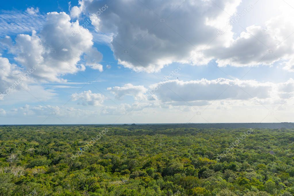 View from Nohoch Mul pyramid. Tropical (rain) forest with clouds and sky. Travel, nature photo. Mexico. Quintana roo. Yucatan 