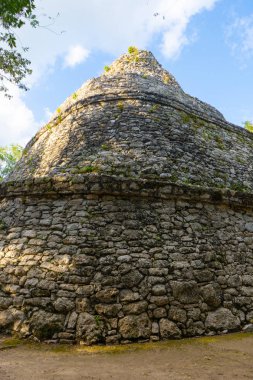 Coba 'daki Maya rasathanesi (Gözlemevi astronomi de Coba). Arkeolojik alanda eski bir bina. Seyahat fotoğrafı. Meksika mı? Yucatan. Quintana roo.