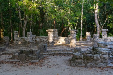 Antik Maya şehri Coba. Arkeolojik alandaki eski binalar. Ormandaki harabeler. Seyahat fotoğrafı. Quintana Roo. Yucatan. Meksika.