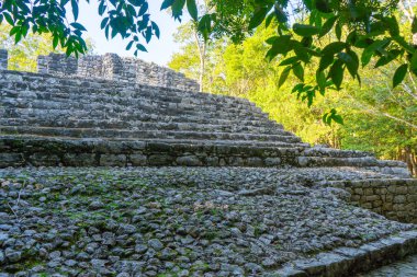 Antik Maya şehri Coba. Arkeolojik alandaki eski binalar. Ormandaki harabeler. Seyahat fotoğrafı. Quintana Roo. Yucatan. Meksika.