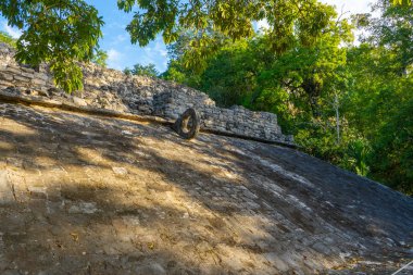 Antik Maya şehri Coba. Arkeolojik alandaki eski binalar. Ormandaki harabeler. Seyahat fotoğrafı. Quintana Roo. Yucatan. Meksika.
