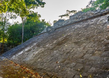 Antik Maya şehri Coba. Arkeolojik alandaki eski binalar. Ormandaki harabeler. Seyahat fotoğrafı. Quintana Roo. Yucatan. Meksika.