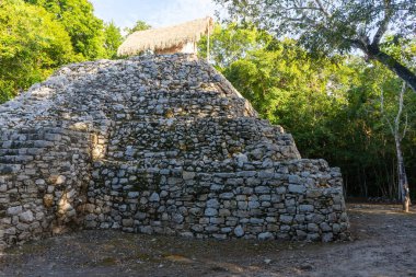 Antik Maya şehri Coba. Arkeolojik alandaki eski binalar. Ormandaki harabeler. Seyahat fotoğrafı. Quintana Roo. Yucatan. Meksika.